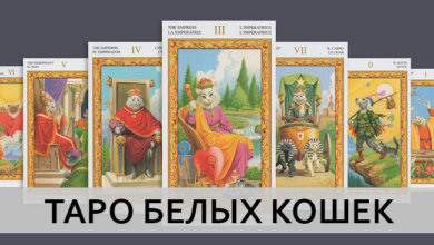 Таро Белых Кошек
