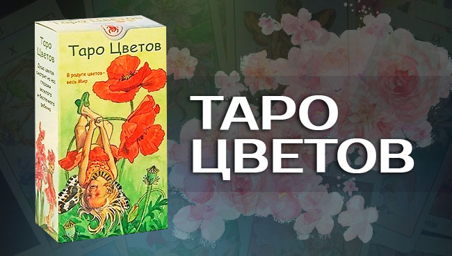 Обзор колоды Таро Цветов: история создания, особенности, символы