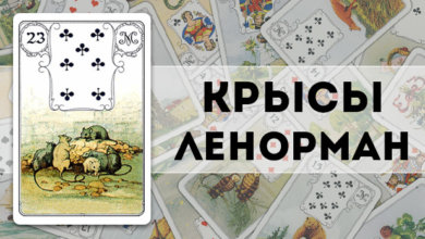 Крысы Ленорман
